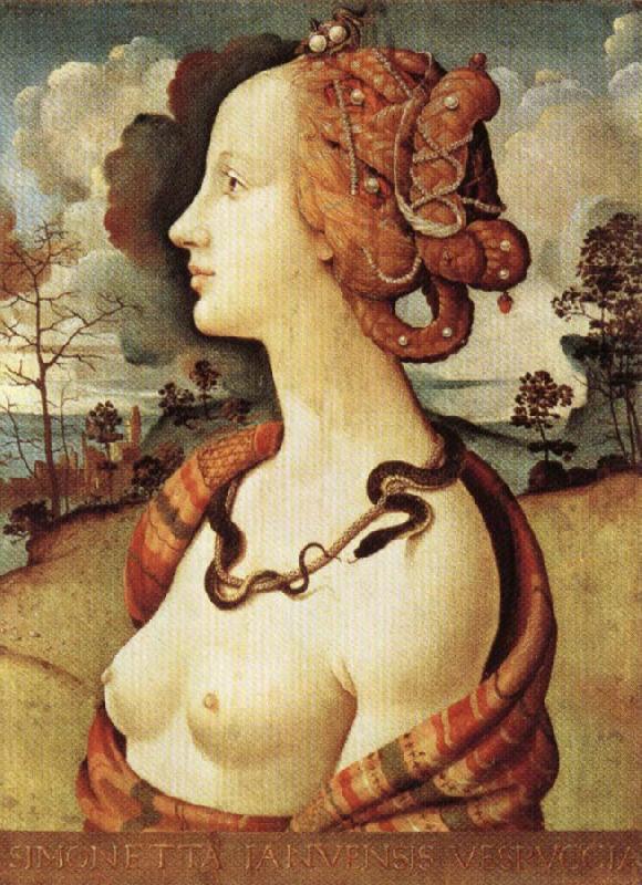 Piero di Cosimo Portrait of Simonetta Vespucci china oil painting image